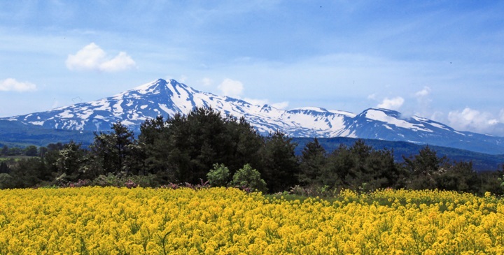 鳥海山（春）